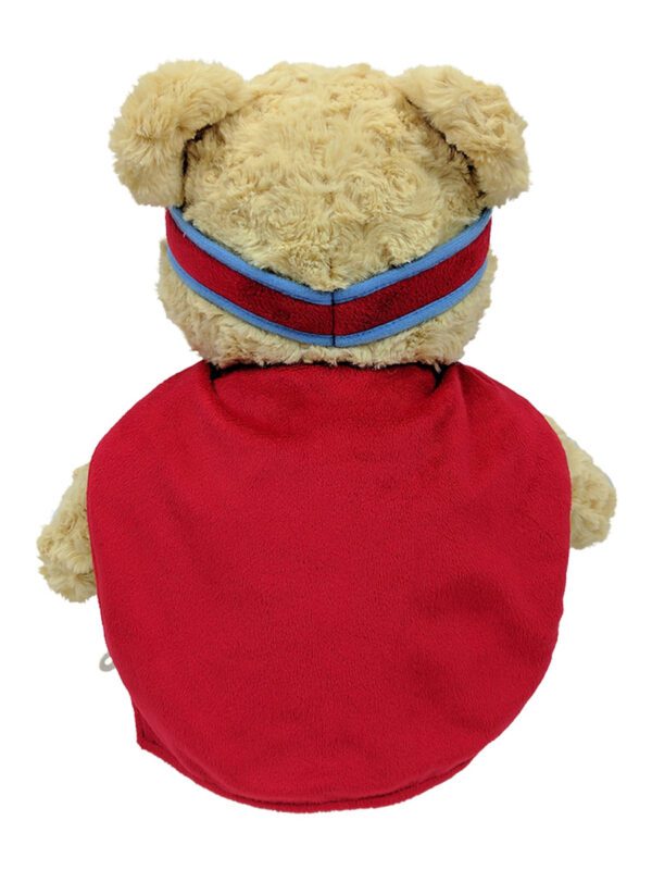 A teddy bear wearing a red shirt and blue headband.